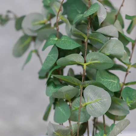 Apartamento Fewomo, Moselzeit Apartment, Stilvolle Fuer Geniesser Naehe Schloss Lieser